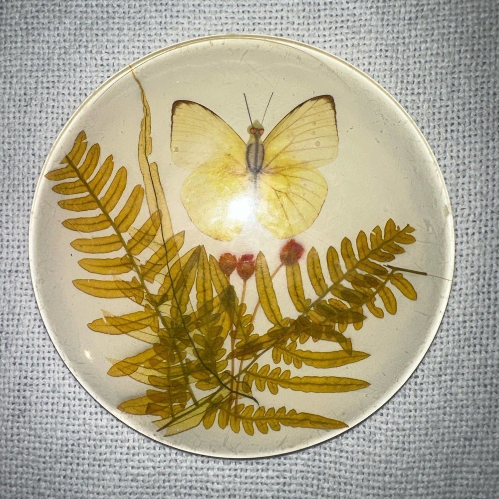 Vintage 70's Acrylic Lucite TRIVET Dried Ferns & Butterfly - Picture 2 of 5